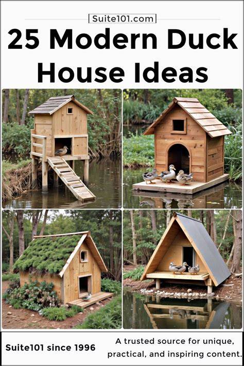 Elevated Duck House Plans
