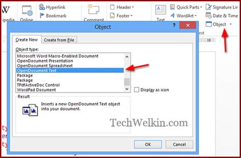embed code snippet in word