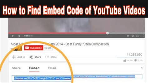 embed video code youtube