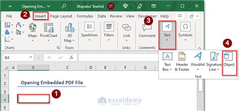 embedded excel file in word not opening