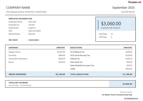 Employee Pay Stub Template