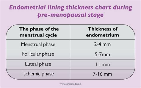 Endometrium Thickness Chart