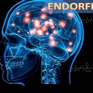 Endorfin