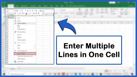 enter multiple lines in a single excel cell mac