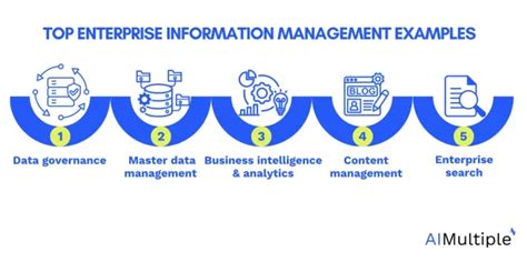 enterprise information management examples