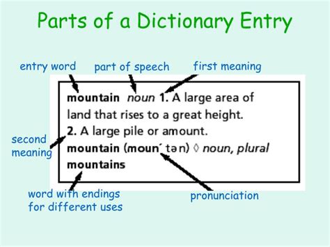 entry words in a dictionary example