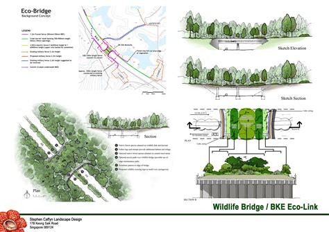 environment projects examples