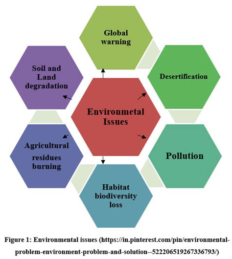 environmental issues and challenges pdf