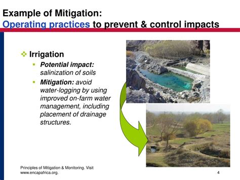 environmental mitigation examples