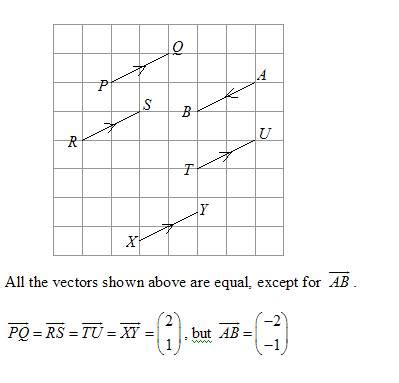 equal vector example with solution