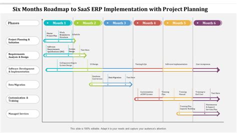 erp project examples