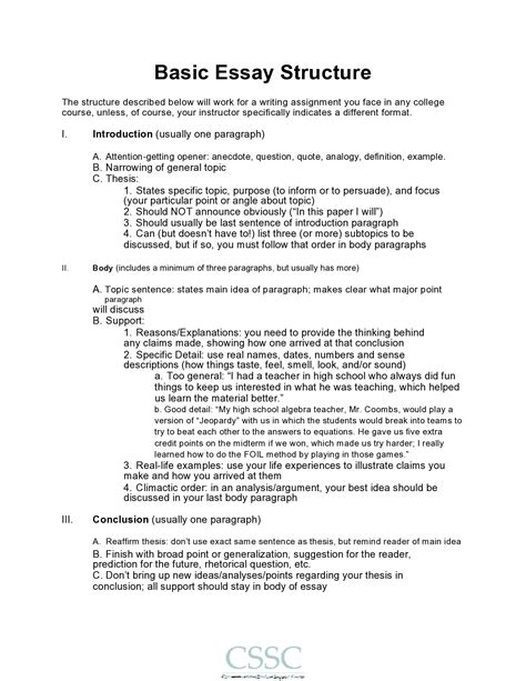 essay structure example university