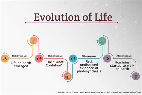 evolution timeline example
