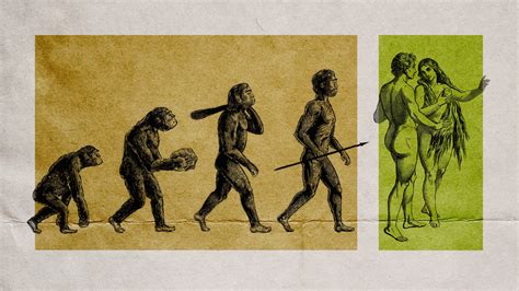 evolution vs adam and eve