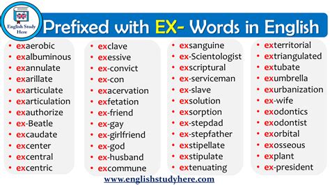ex prefix words