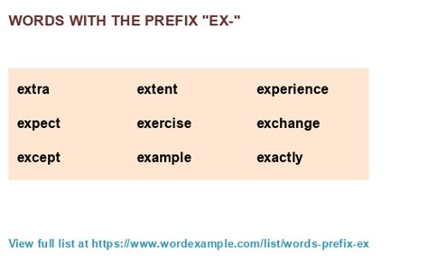 ex root word