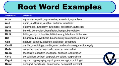 ex root word definition and examples