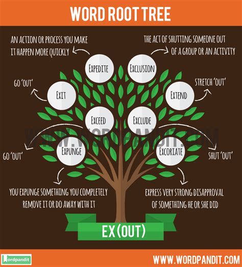ex root word list