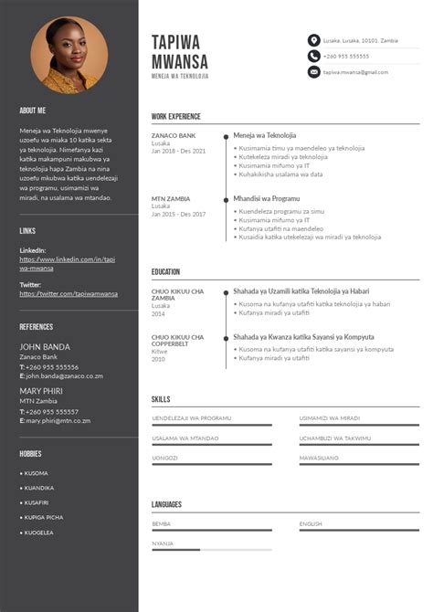 example of a cv in zambia