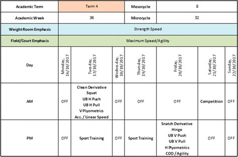 example of a microcycle training program