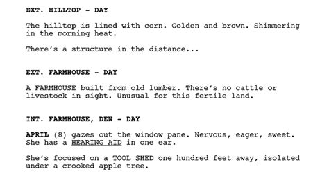 example of a silent film script