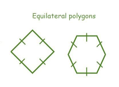 example of equilateral polygon shape
