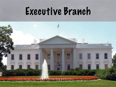 example of executive branch in action