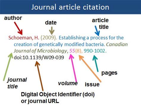 example of journal article in apa format