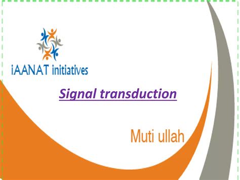 example of signal transduction