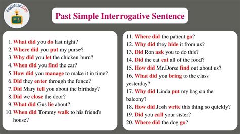 example of simple past interrogative sentence