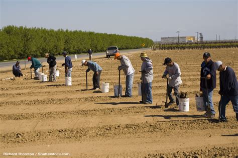 example of temporary labor migrants