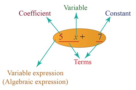 example of variable expression in math
