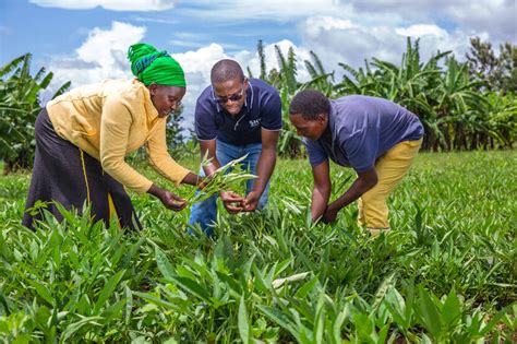 examples of agricultural projects in kenya