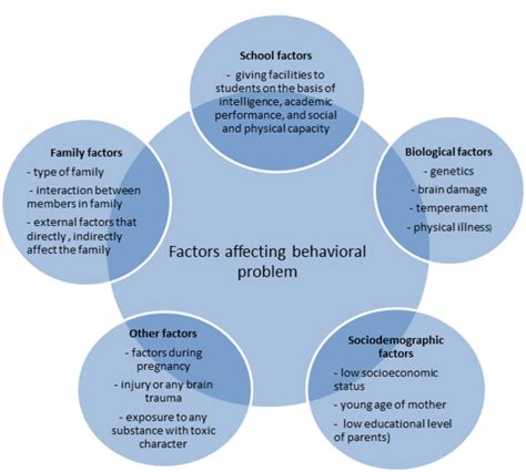 examples of behavioral issues