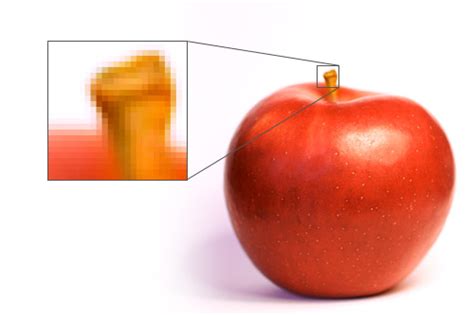 examples of bitmap graphics