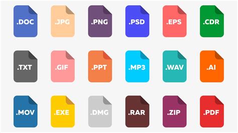 examples of different file types
