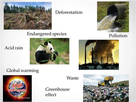 examples of environmental problems in a community