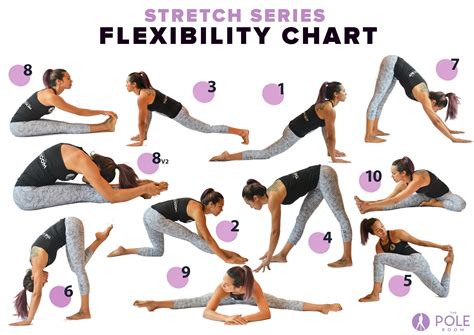 examples of flexibility exercises