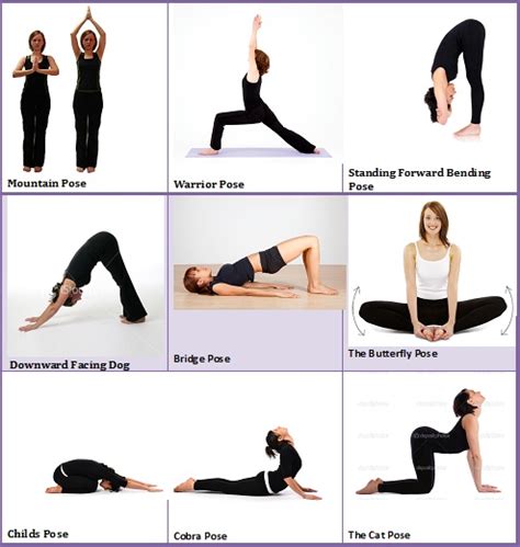 examples of flexibility exercises include