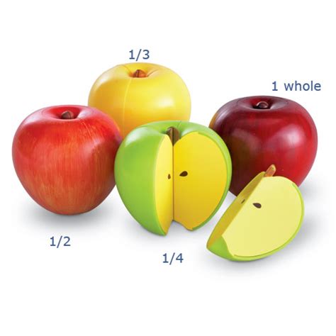 examples of fractions in real life