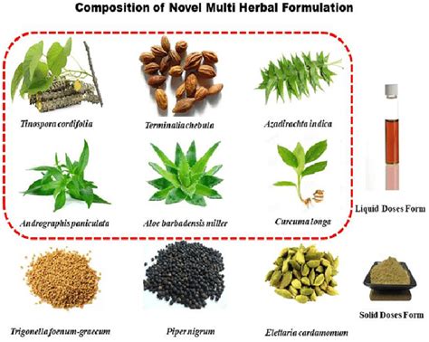 examples of herbal formulations