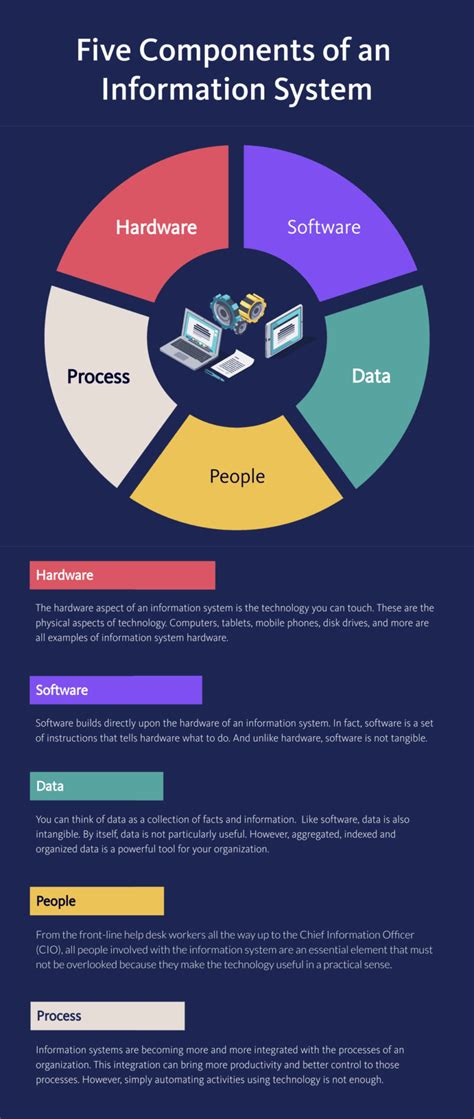 examples of information systems software