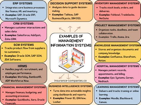 examples of management information systems mis include quizlet
