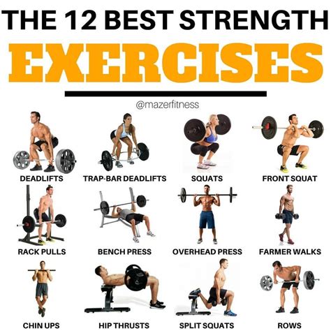 examples of muscular exercises