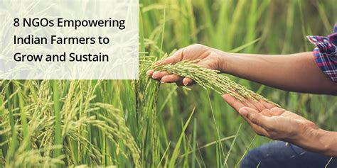 examples of ngos in agriculture