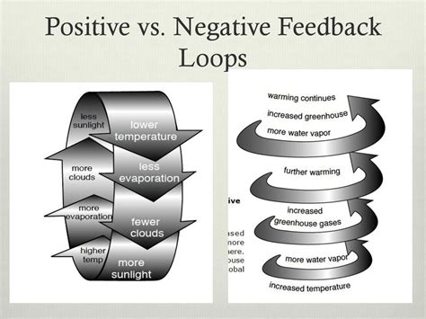 examples of positive and negative feedback loops in family therapy