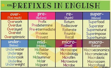 examples of prefix pre words