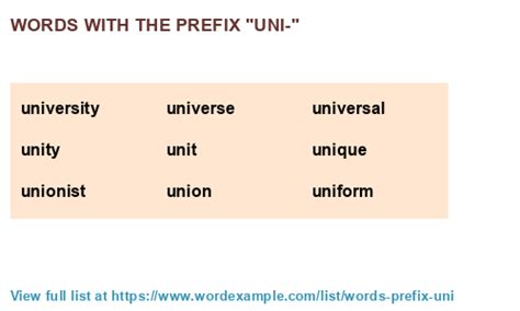 examples of prefix uni