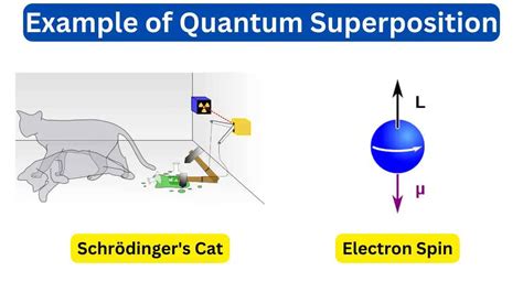 examples of quantum superposition in real life