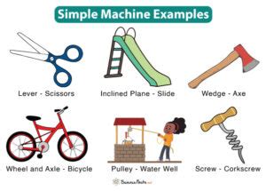 examples of simple machines used in everyday